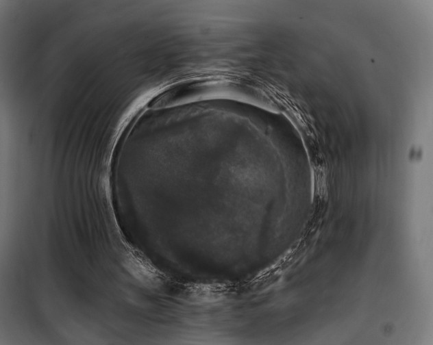 X0000101460147200807071439