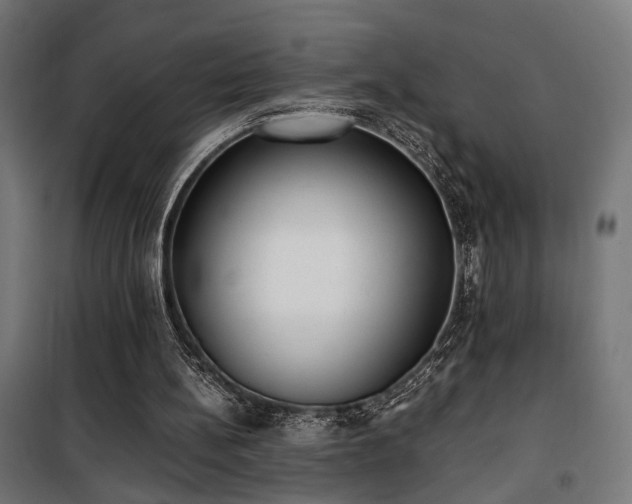 X0000101460148200807071439