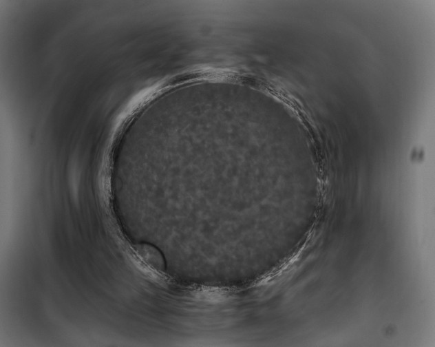 X0000101460149200807071439