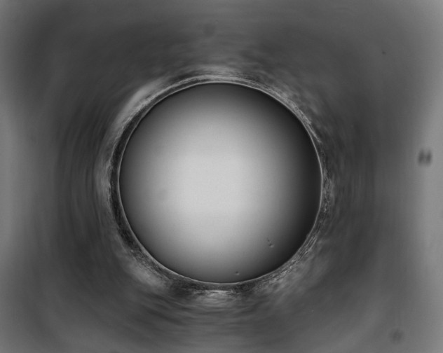 X0000101460151200807071439