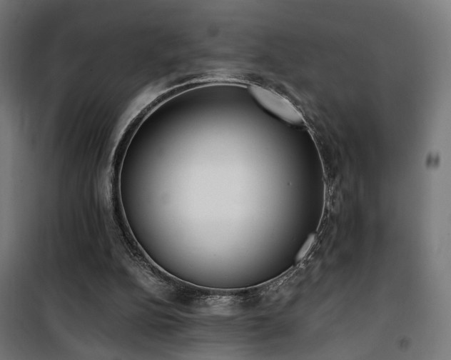 X0000101460152200807071439