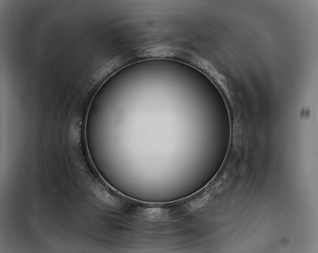 X0000101460153200807071439