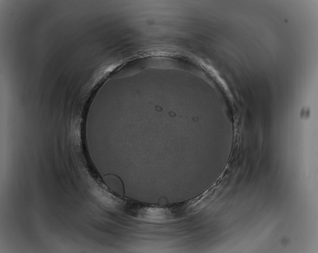 X0000101460154200807071439