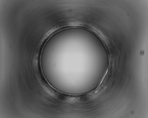 X0000101460155200807071439