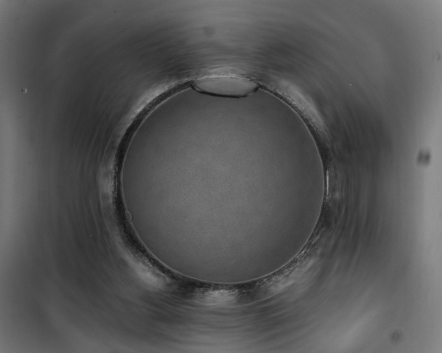 X0000101460156200807071439