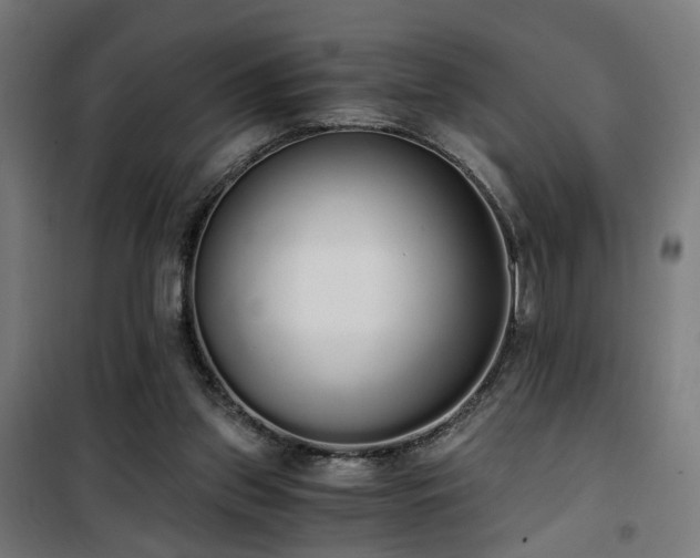 X0000101460157200807071439