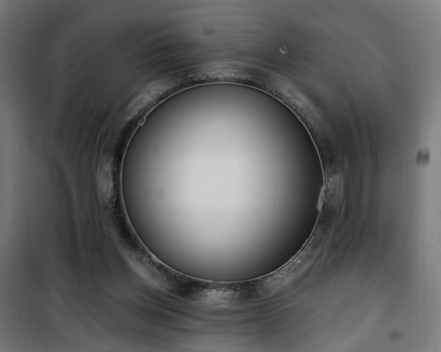 X0000101460158200807071439