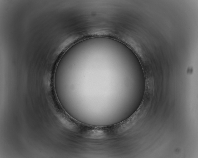 X0000101460159200807071439