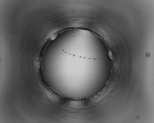 X0000101460160200807071439