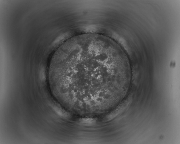 X0000101460161200807071439