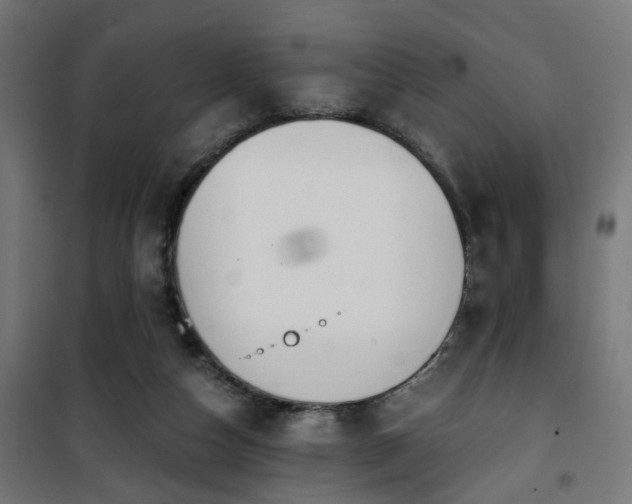 X0000101460162200807071439