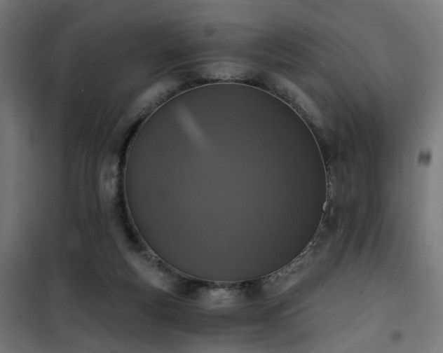 X0000101460163200807071439