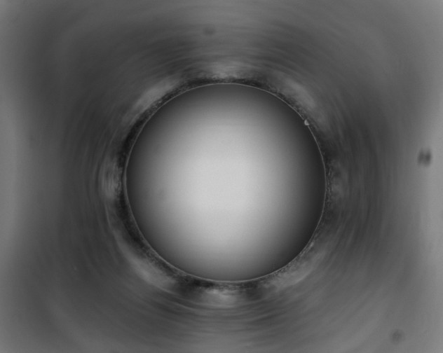 X0000101460164200807071439