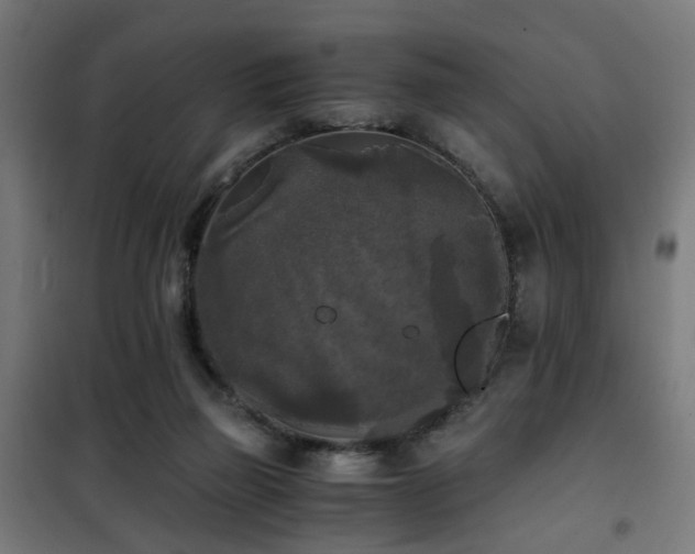 X0000101460165200807071439