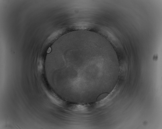 X0000101460166200807071439