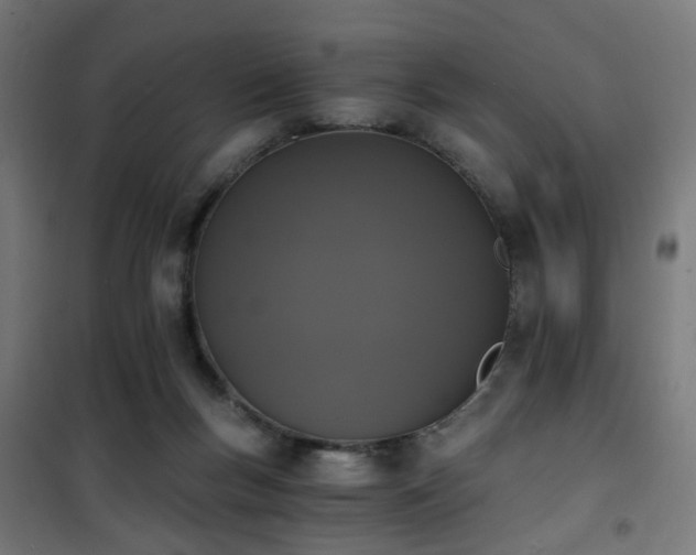 X0000101460167200807071439
