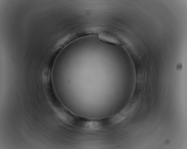X0000101460168200807071439