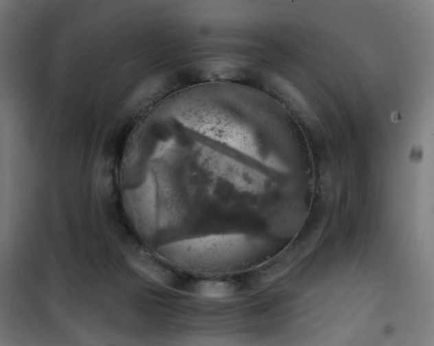 X0000101460169200807071439
