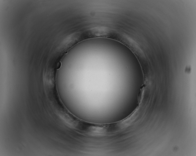 X0000101460170200807071439