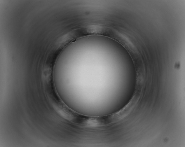 X0000101460171200807071439