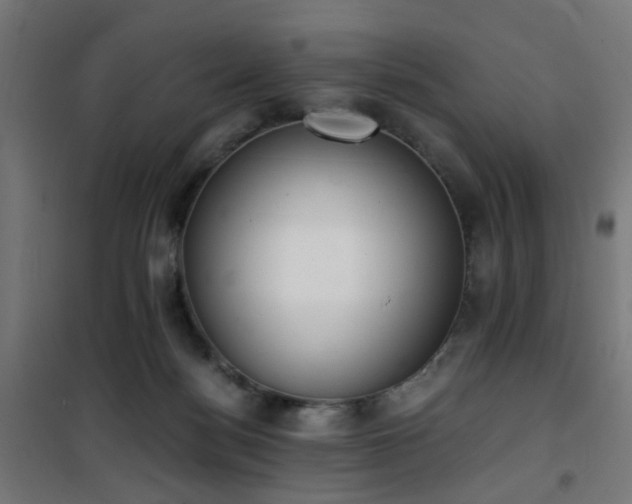 X0000101460172200807071439