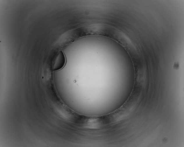 X0000101460173200807071439