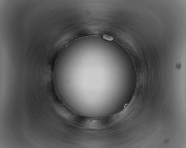 X0000101460174200807071439