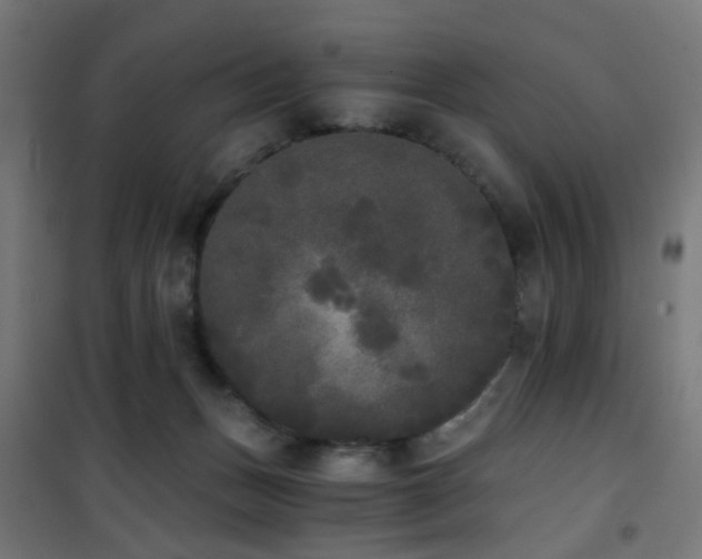 X0000101460175200807071439