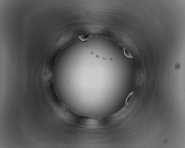 X0000101460176200807071439