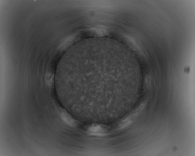 X0000101460177200807071439