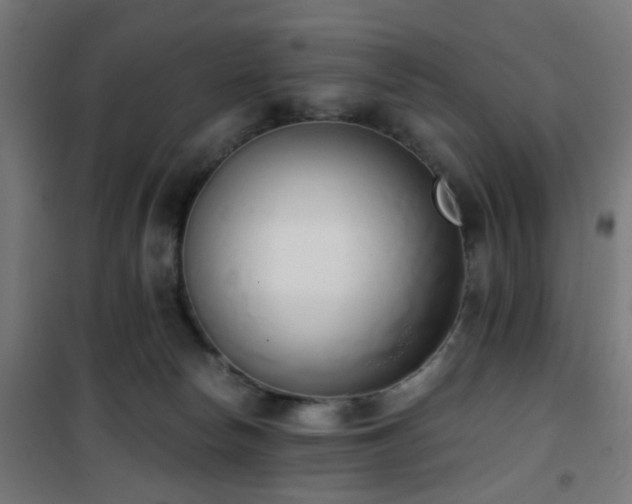X0000101460178200807071439