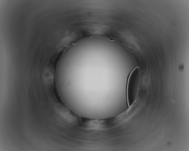 X0000101460179200807071439