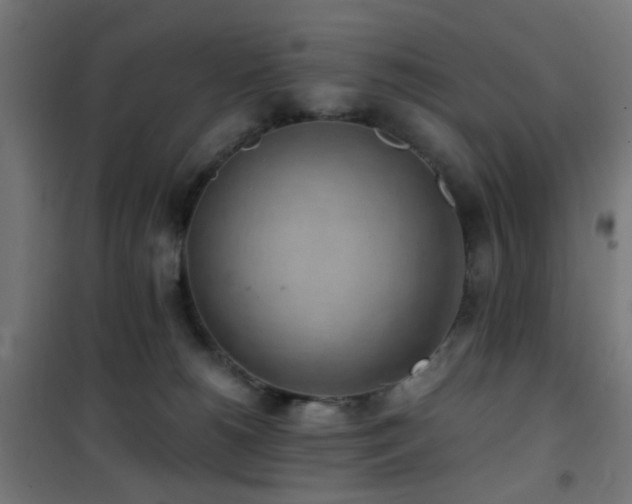 X0000101460180200807071439