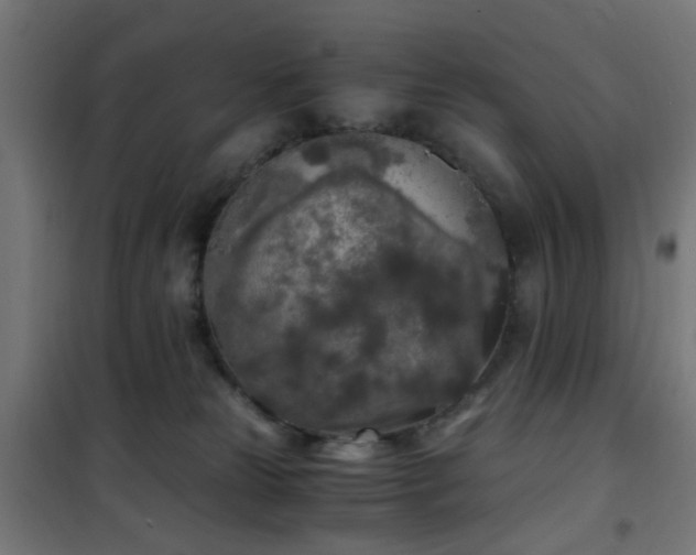 X0000101460181200807071439