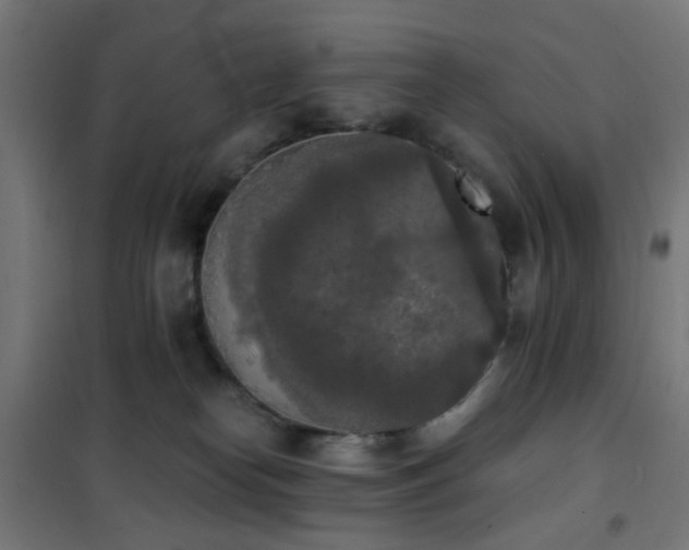 X0000101460182200807071439