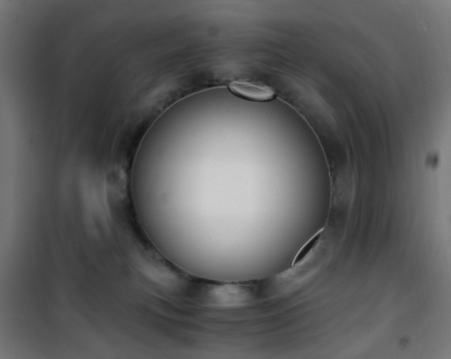 X0000101460183200807071439