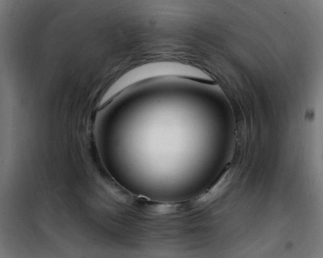X0000101460184200807071439