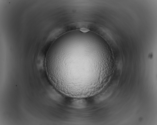 X0000101460185200807071439