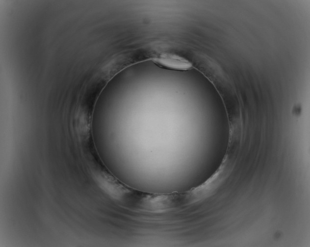 X0000101460186200807071439