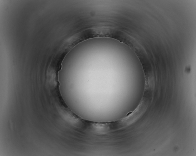 X0000101460187200807071439