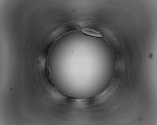 X0000101460188200807071439