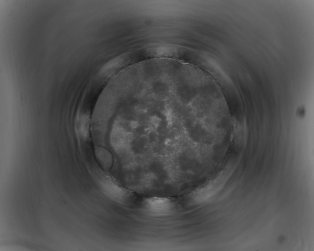 X0000101460189200807071439