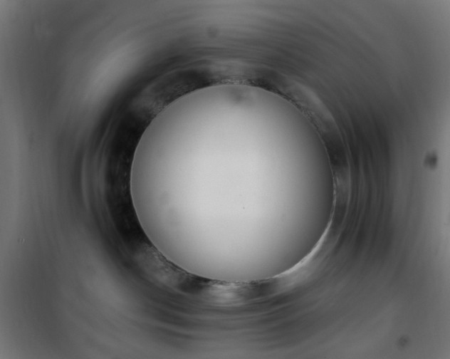 X0000101460190200807071439