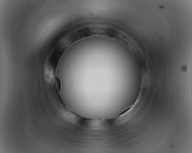 X0000101460191200807071439