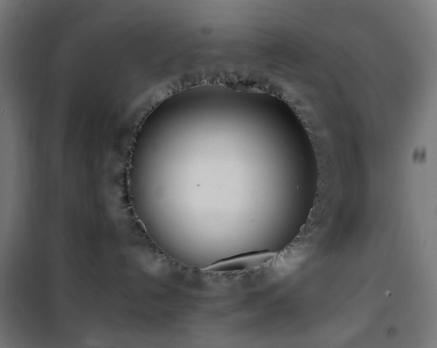 X0000101460192200807071439