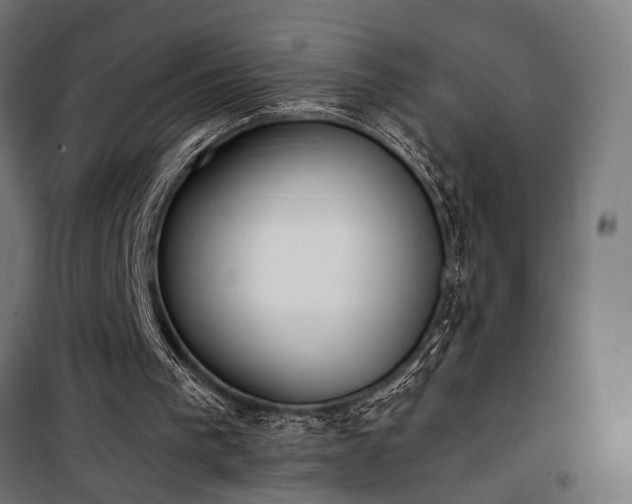 X0000101460193200807071439
