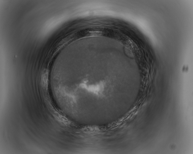 X0000101460194200807071439