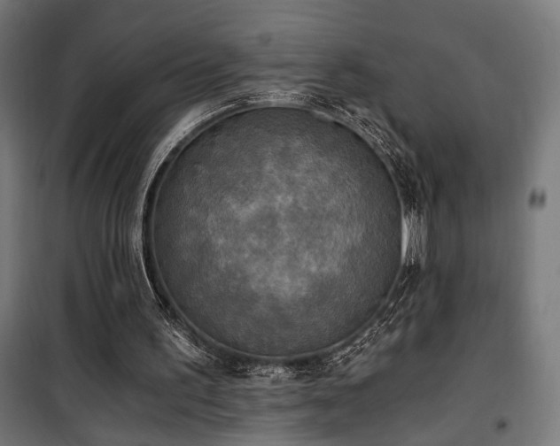 X0000101460195200807071439