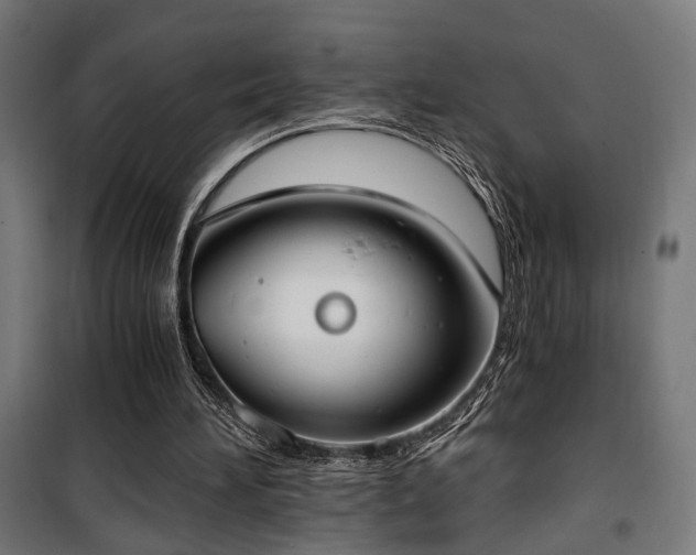 X0000101460196200807071439