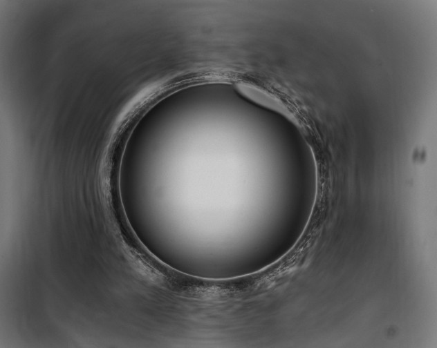X0000101460197200807071439